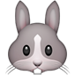 Cara de conejo