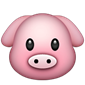 Pig visage