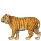 Tiger mit Ganzkörper-